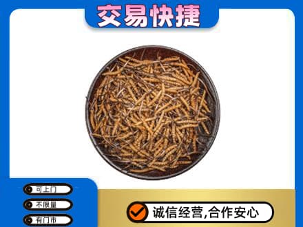 桂林市平乐高价回收散虫草