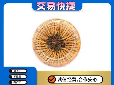 桂林市平乐回收虫草礼盒