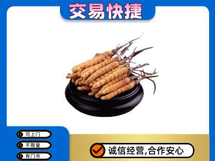 桂林市平乐回收冬虫夏草多少钱每克